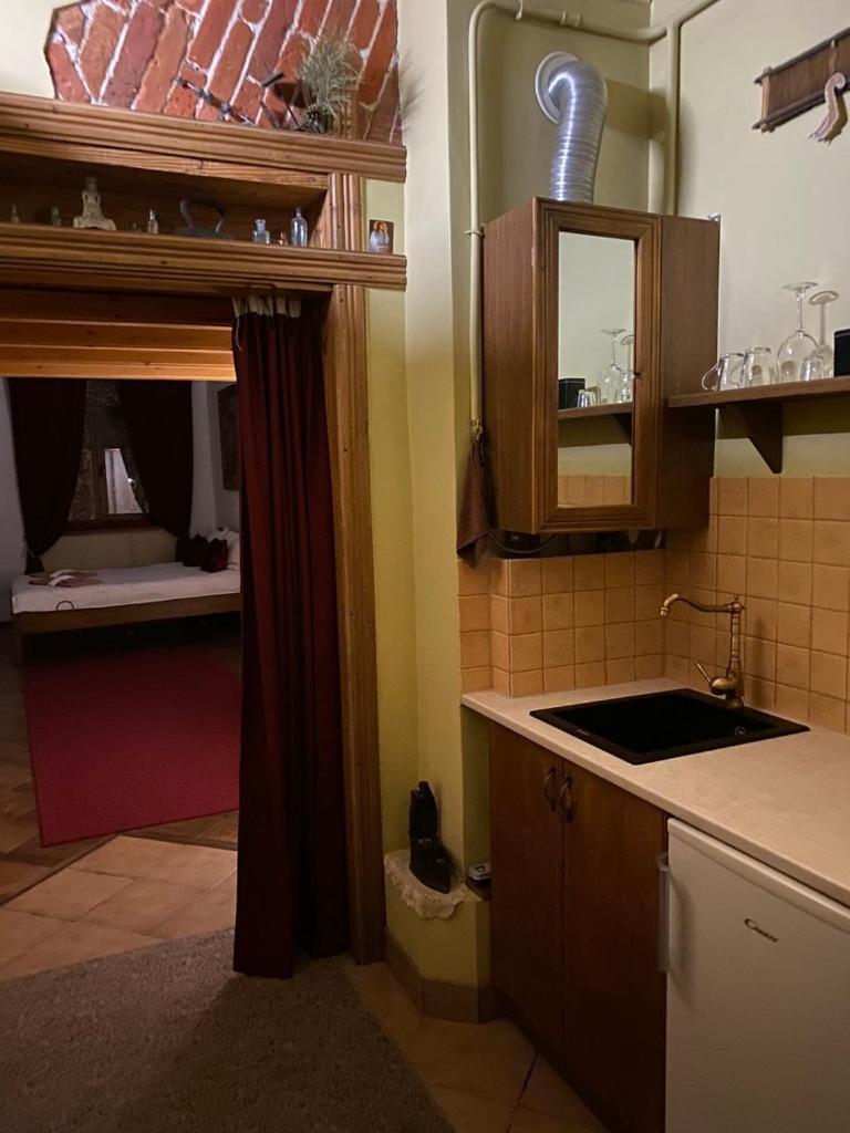 Museum Apartments Lviv Kültér fotó