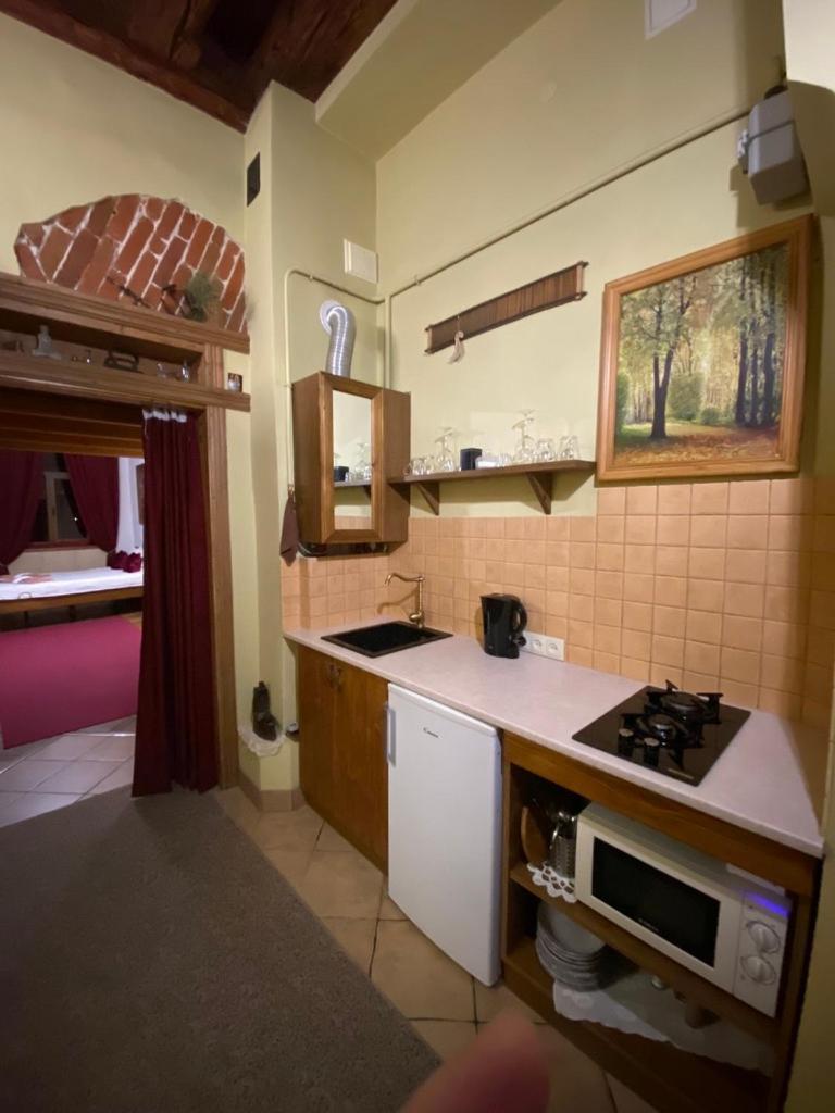 Museum Apartments Lviv Kültér fotó